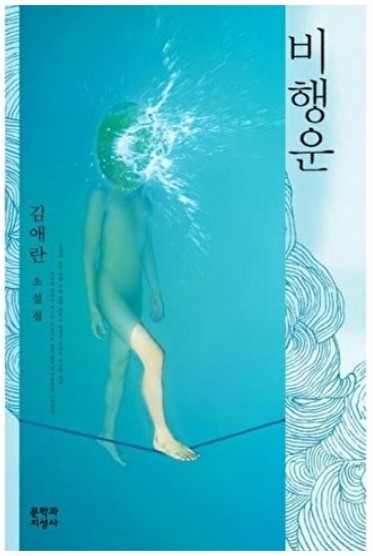 비행운